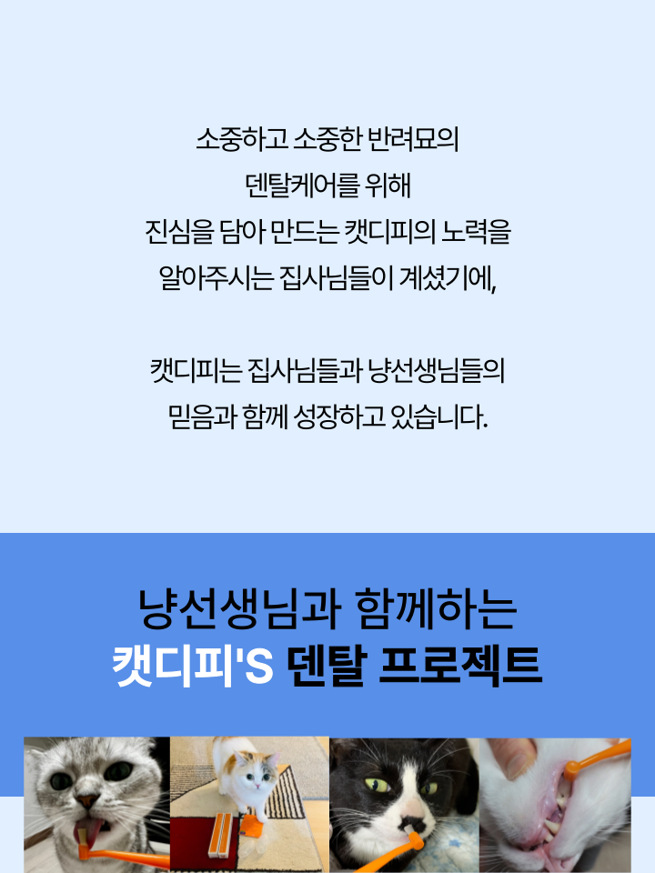 [NEW신상][무료배송] 캣디피 홈케일러 고양이 전용 치석제거기 43번째