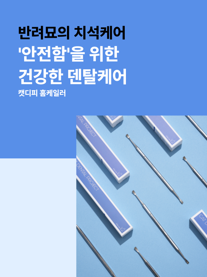 [NEW신상][무료배송] 캣디피 홈케일러 고양이 전용 치석제거기 41번째