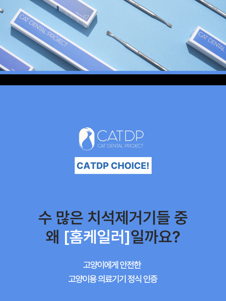 [NEW신상][무료배송] 캣디피 홈케일러 고양이 전용 치석제거기 12번째