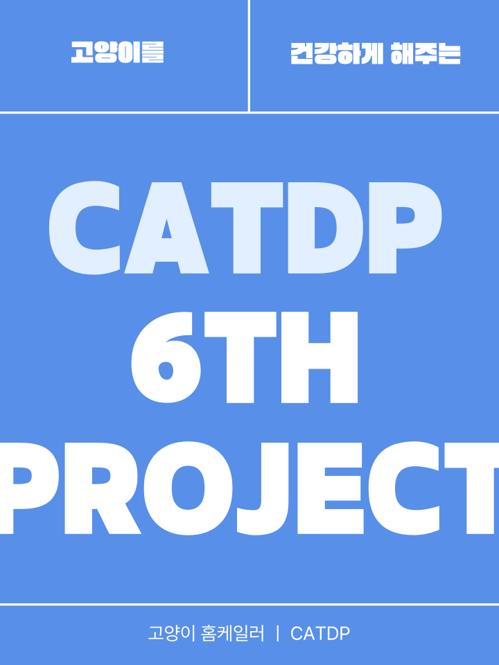 [NEW신상][무료배송] 캣디피 홈케일러 고양이 전용 치석제거기 3번째