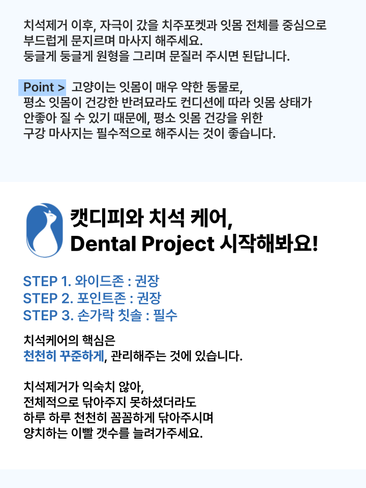 [NEW신상][무료배송] 캣디피 홈케일러 고양이 전용 치석제거기 35번째