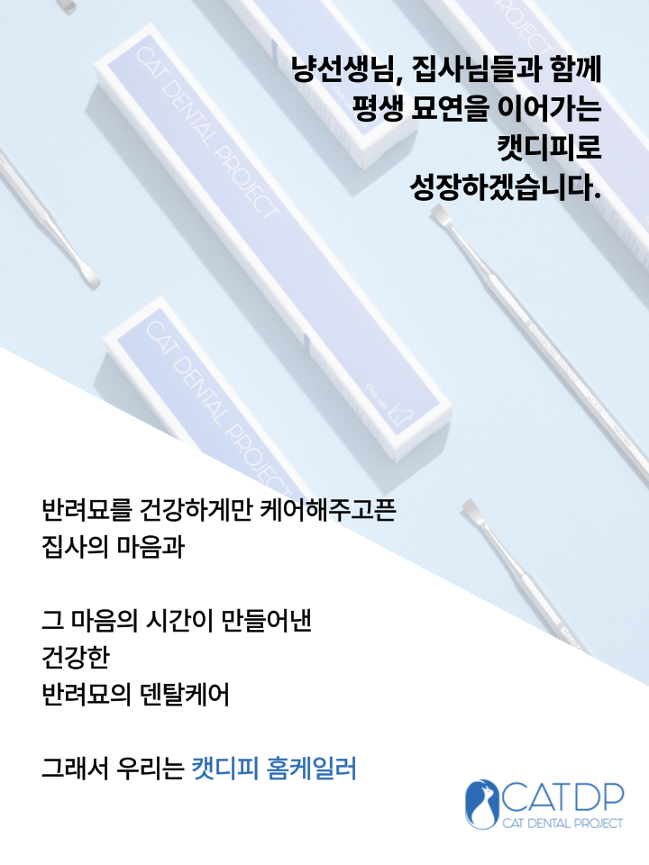 [NEW신상][무료배송] 캣디피 홈케일러 고양이 전용 치석제거기 45번째