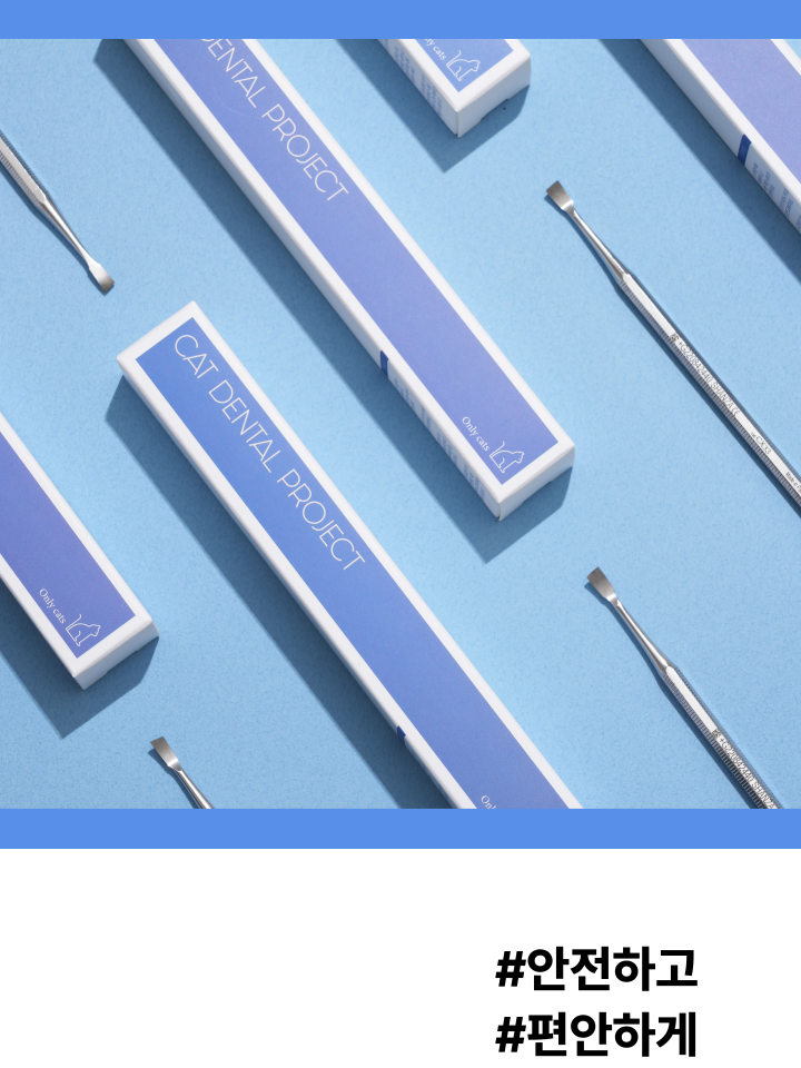 [NEW신상][무료배송] 캣디피 홈케일러 고양이 전용 치석제거기 6번째