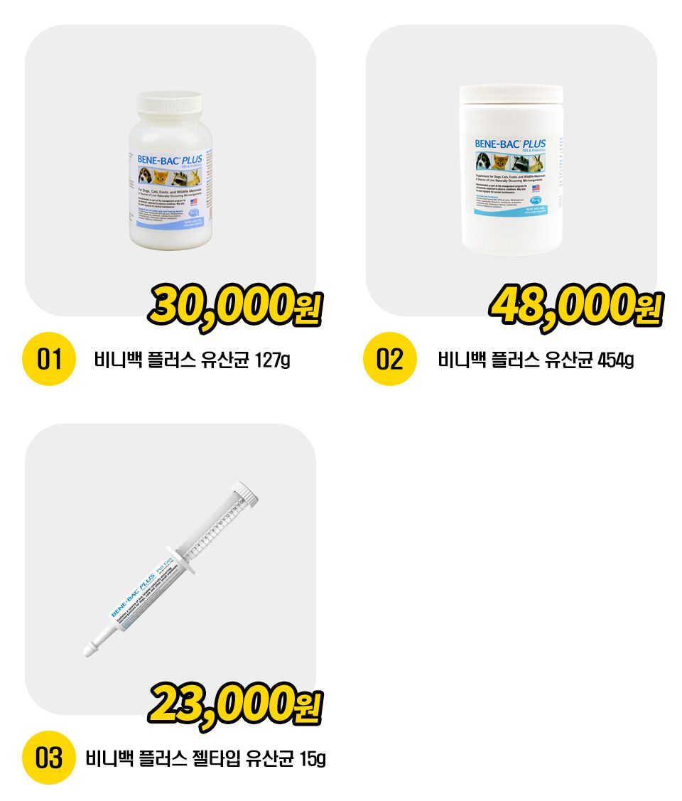 펫에그 비니백 플러스 [모음] 1번째