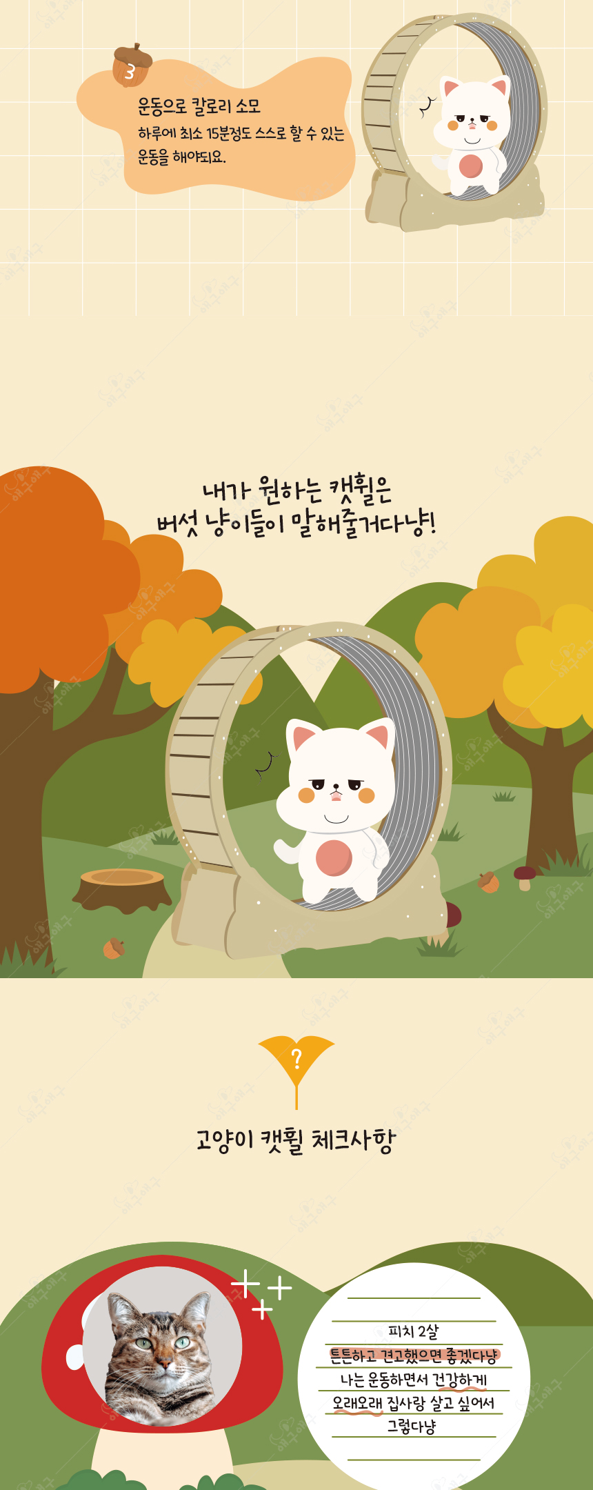 [무료배송] 애구애구 캣워커 S-L 8번째