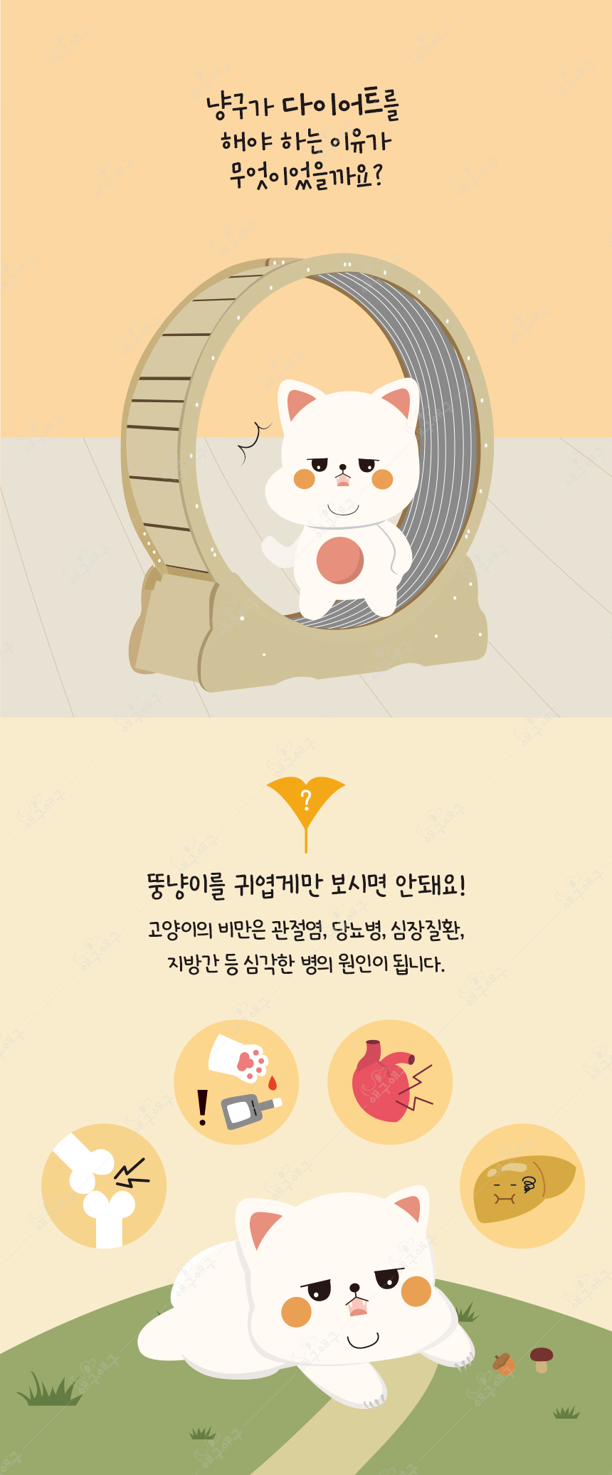 [무료배송] 애구애구 캣워커 S-L 5번째