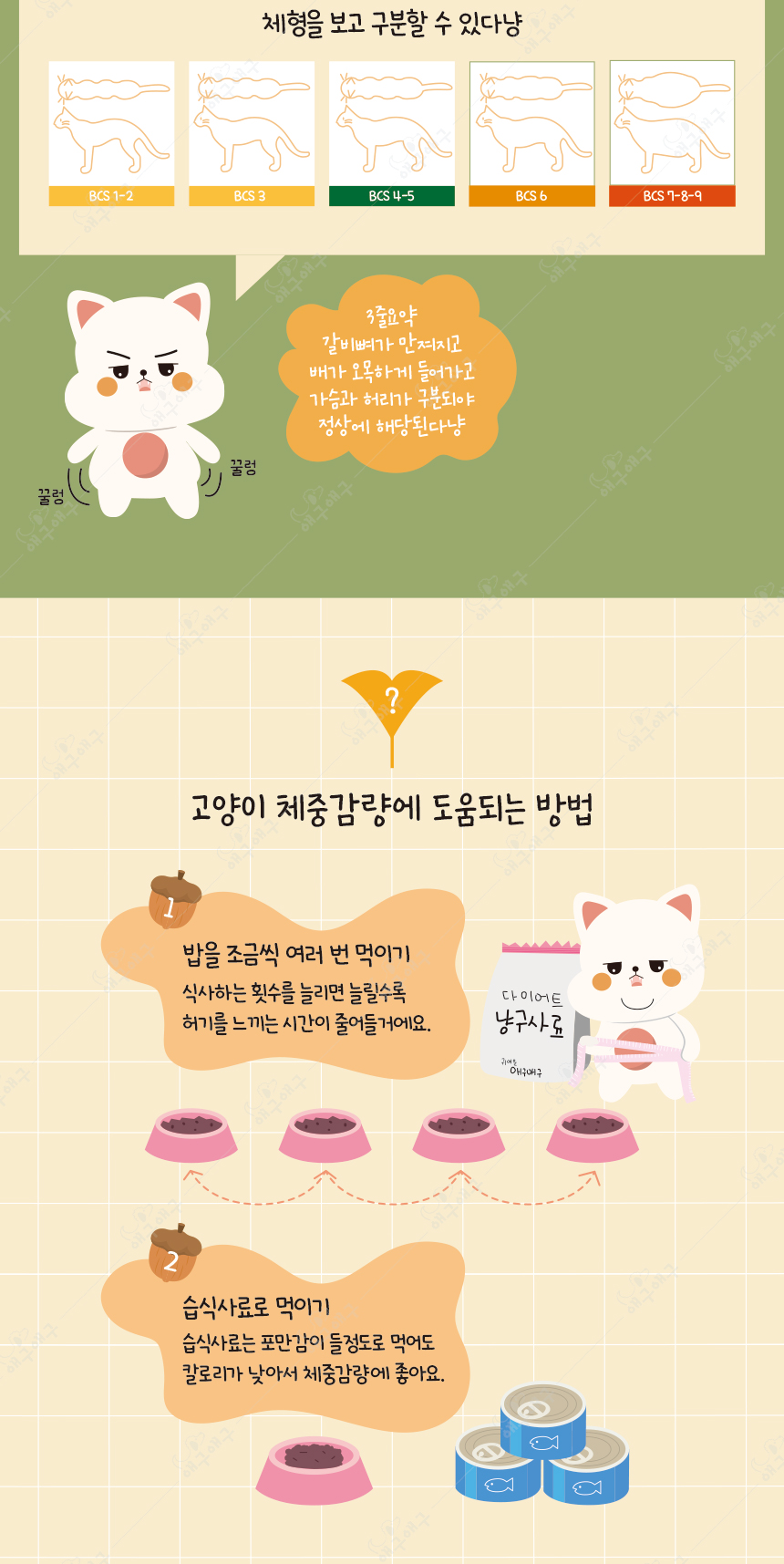 [무료배송] 애구애구 캣워커 S-L 7번째