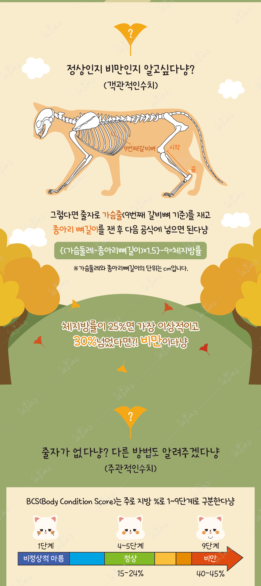 [무료배송] 애구애구 캣워커 S-L 6번째