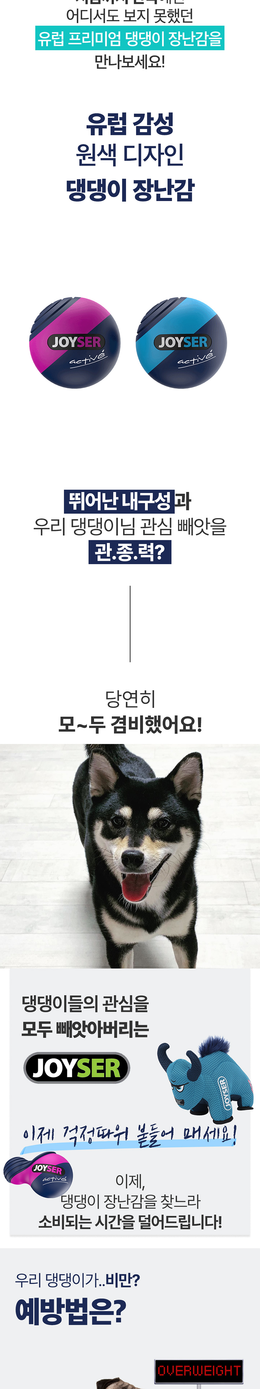 [무료배송] 조이서 독 워볼 3종 2번째