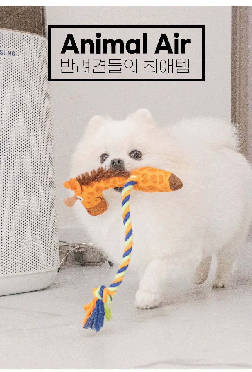 [NEW신상][무료배송] 메일캣 반려동물 삑삑이 인형 실타래 봉제장난감 4종 2번째 상세 이미지