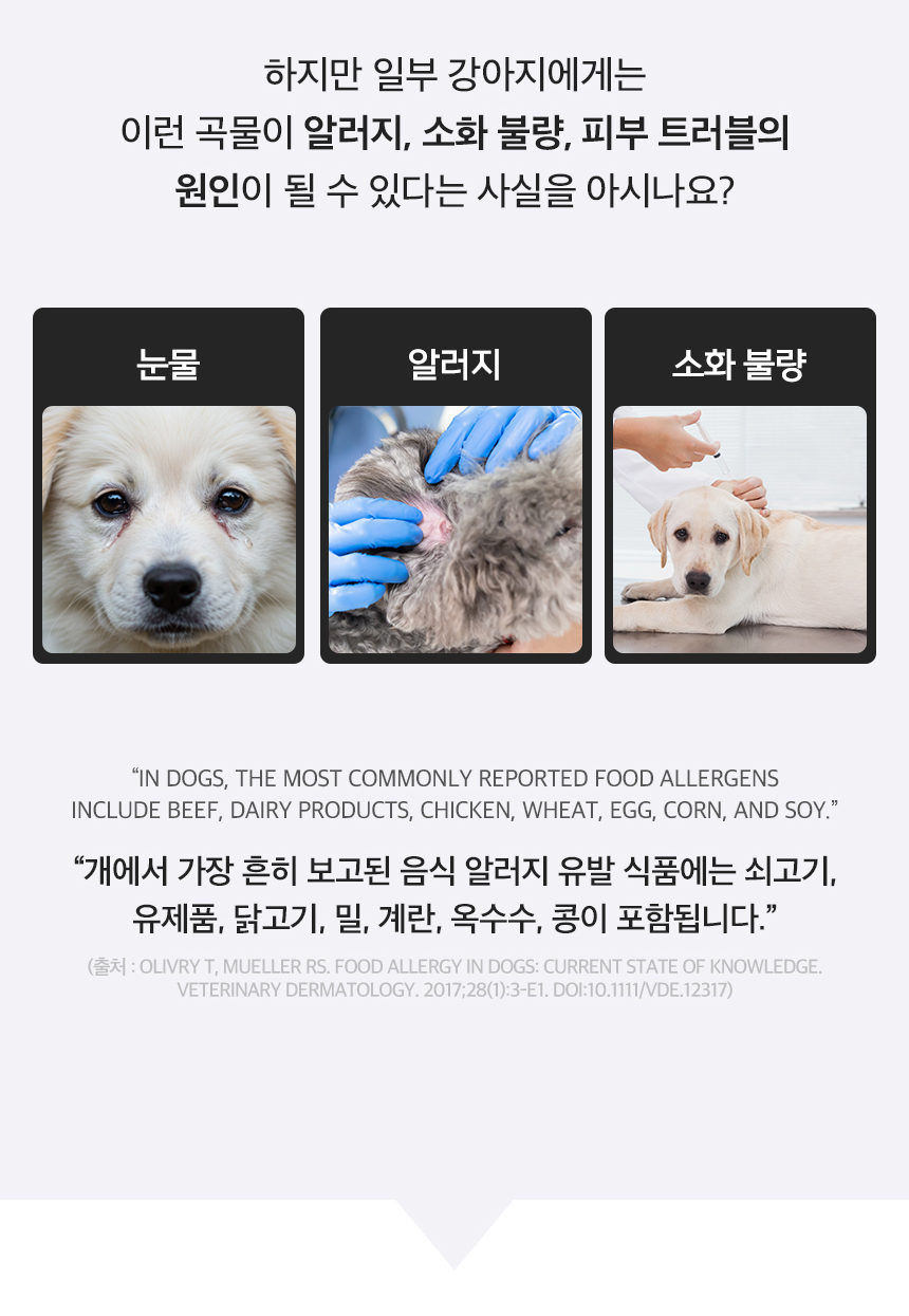[NEW신상][무료배송] 엉클홈 DTS 디티에스 벨기에 강아지 사료 기호성 좋은 오리 칠면조 연어 스몰브리드 4.8kg(1.2kg*4개) 11번째