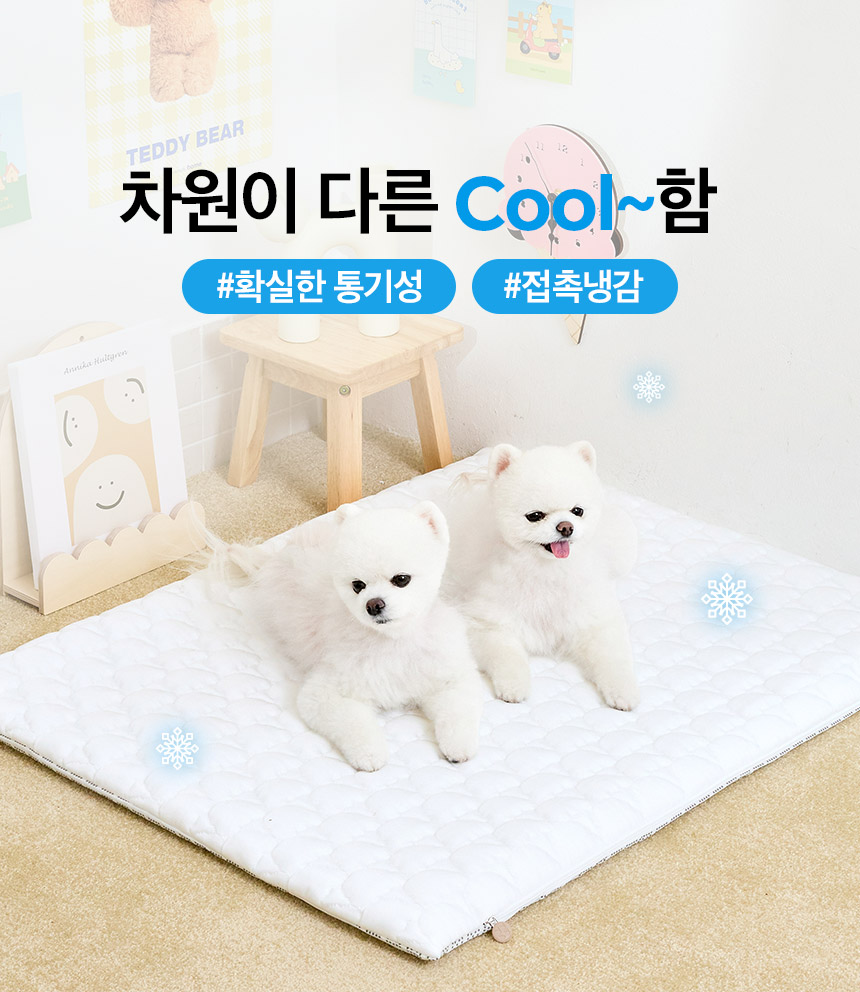 [무료배송] 페리가토 여름 쿨방석 듀라론 쿨매트 9번째