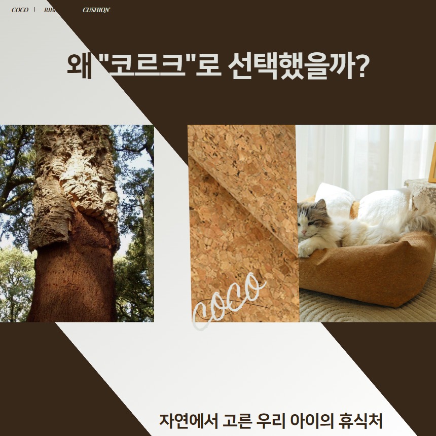 [신상특가] [무료배송] 프레이즈펫 코코 리본 쿠션 코르크 양면 방석 침대 5번째