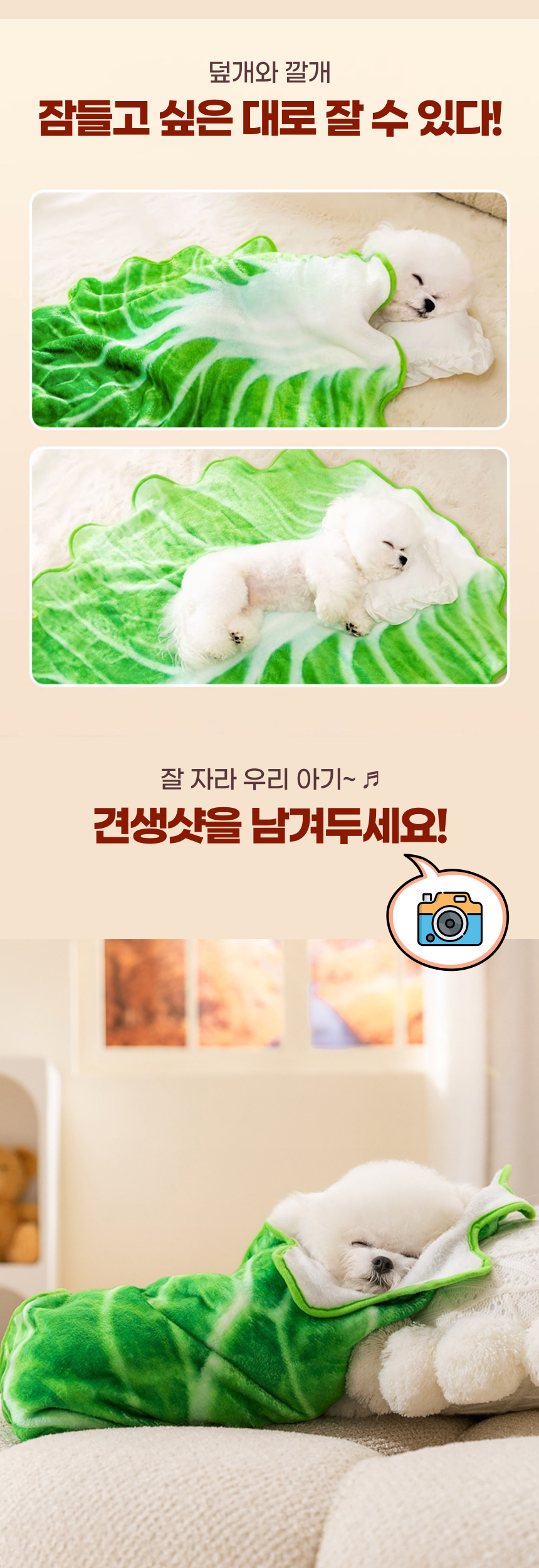 [무료배송] 알뜰펫 배춧잎 담요 6번째