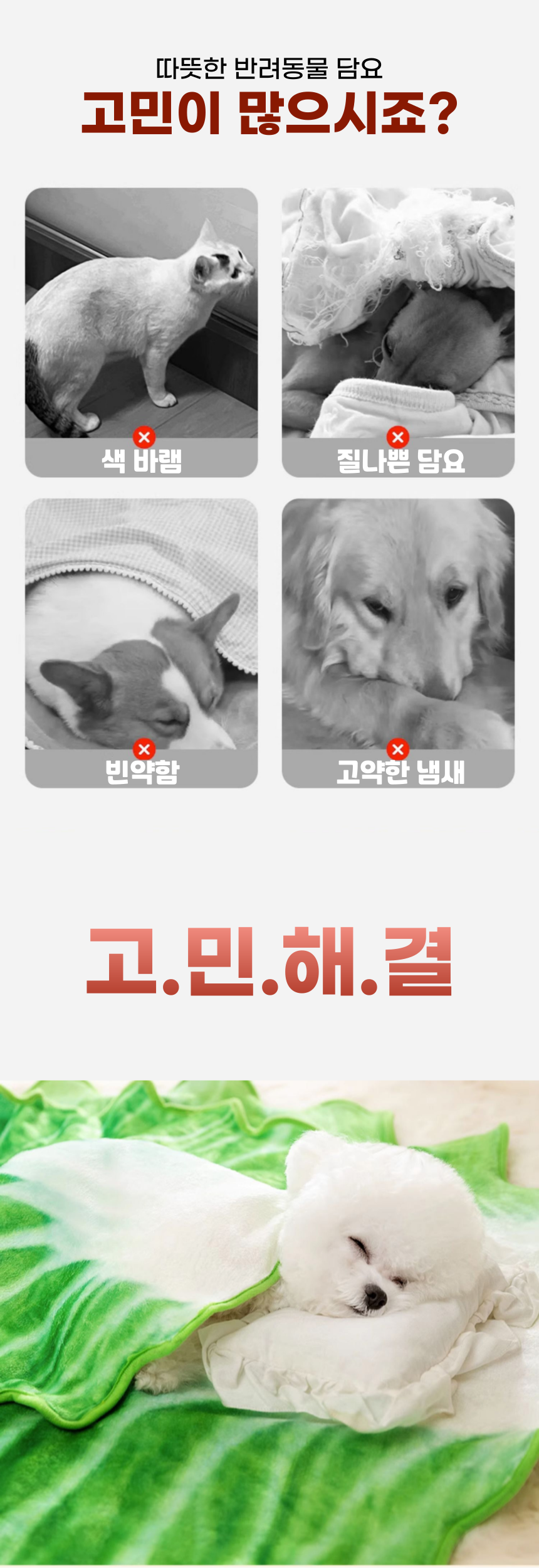 [무료배송] 알뜰펫 배춧잎 담요 2번째