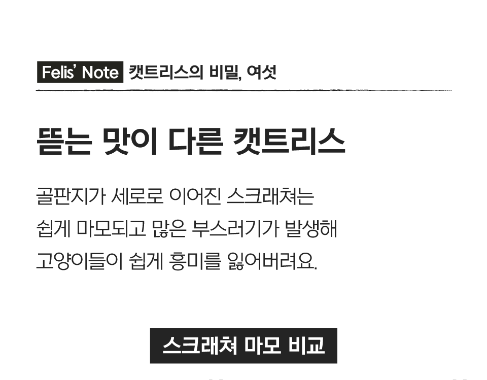 닥터펠리스 캣트리스 매직터널 S/L 15번째