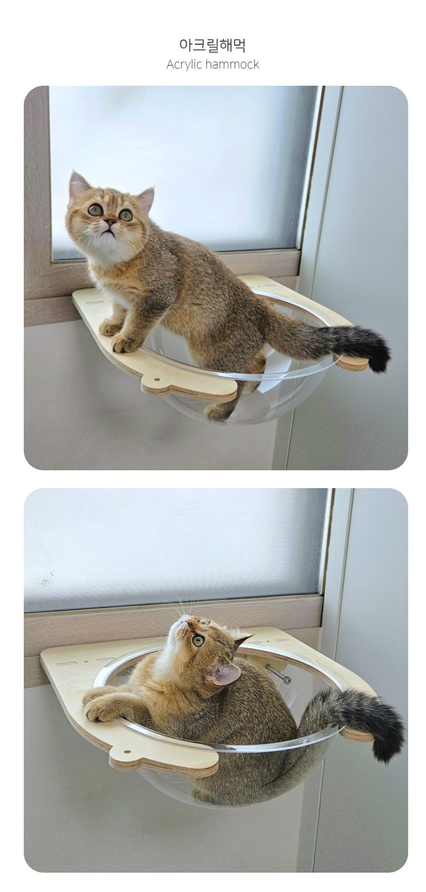 [무료배송] 캣돌 고양이 창문 선반 캣타워 냥틀 6번째