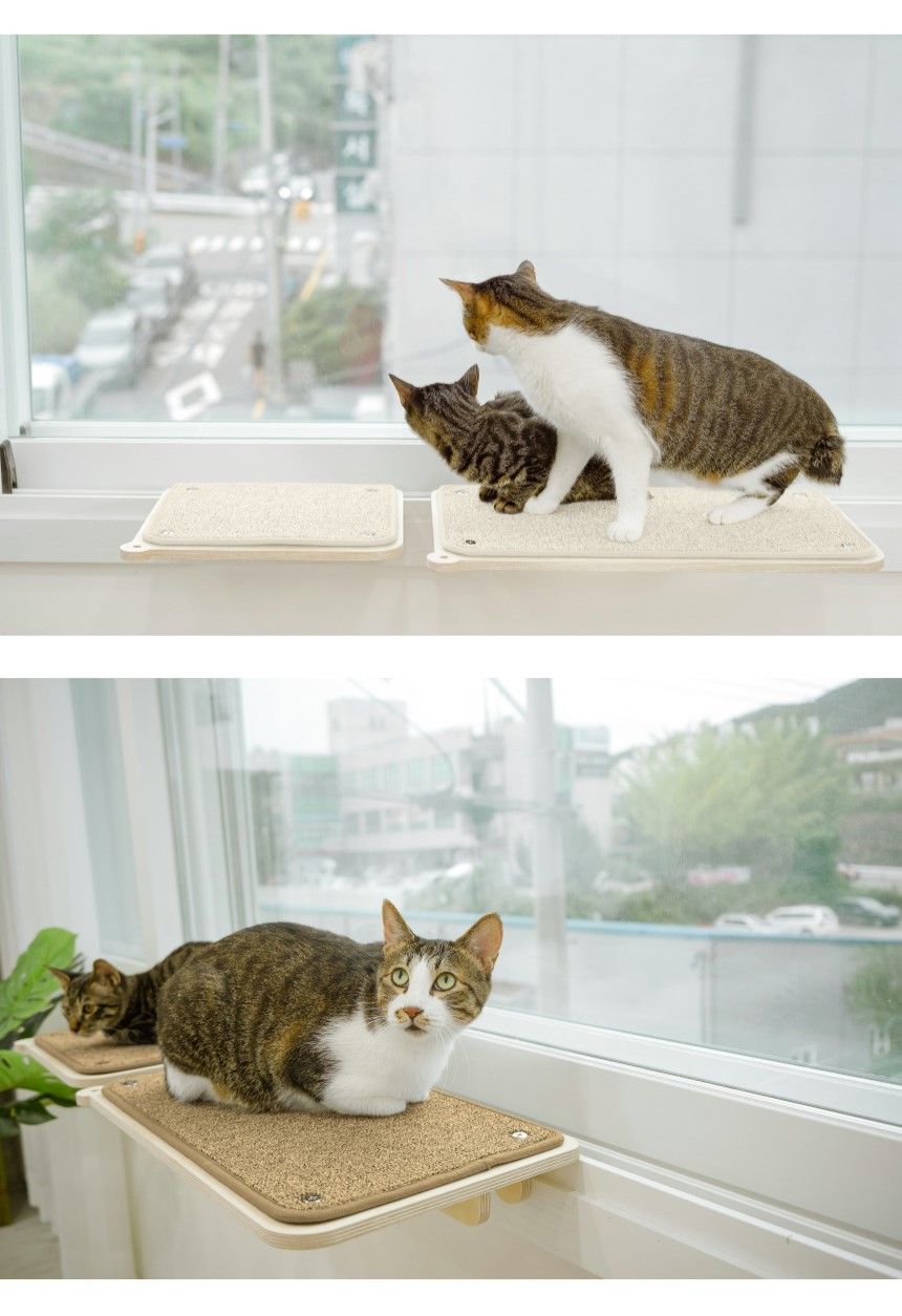 [무료배송] 캣돌 고양이 창문 선반 캣타워 냥틀 16번째