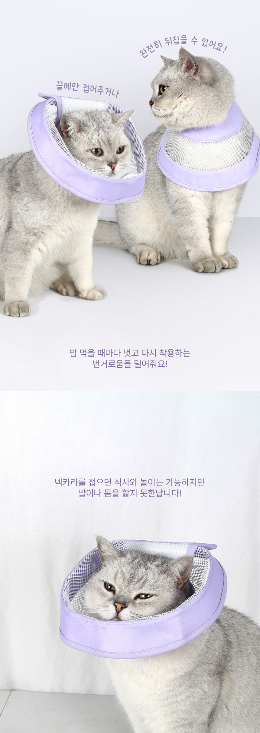 [NEW신상][무료배송] 애구애구 메쉬 넥카라 12번째