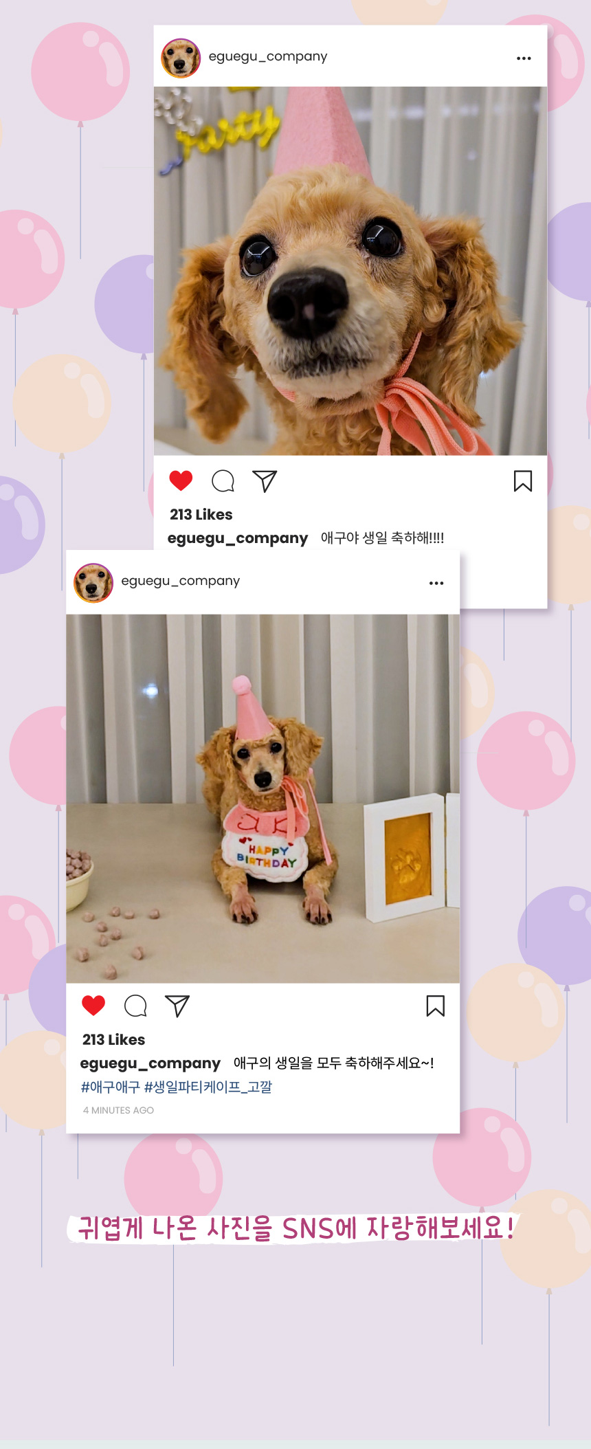 [무료배송] 애구애구 강아지 턱받이 스카프 생일케이프 파티꼬깔모자 세트 10번째