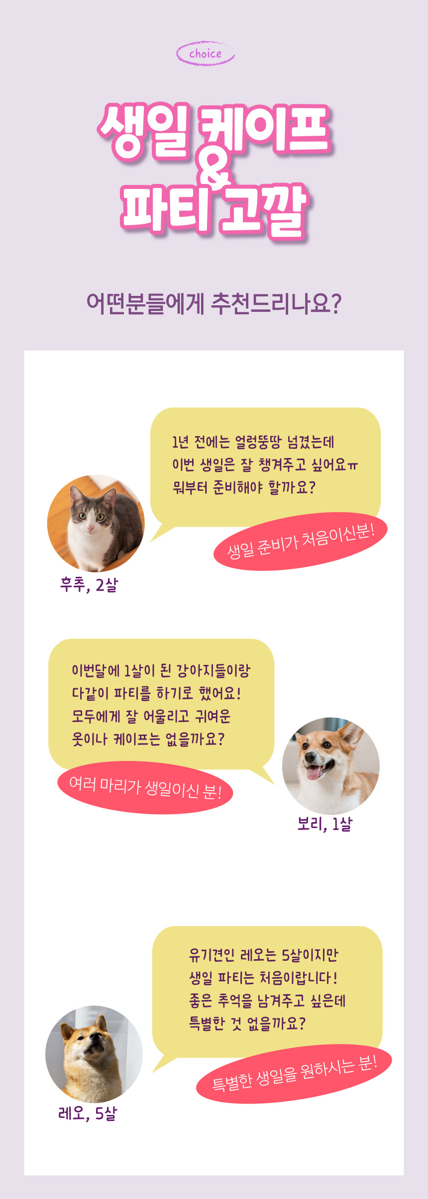 [무료배송] 애구애구 강아지 턱받이 스카프 생일케이프 파티꼬깔모자 세트 8번째