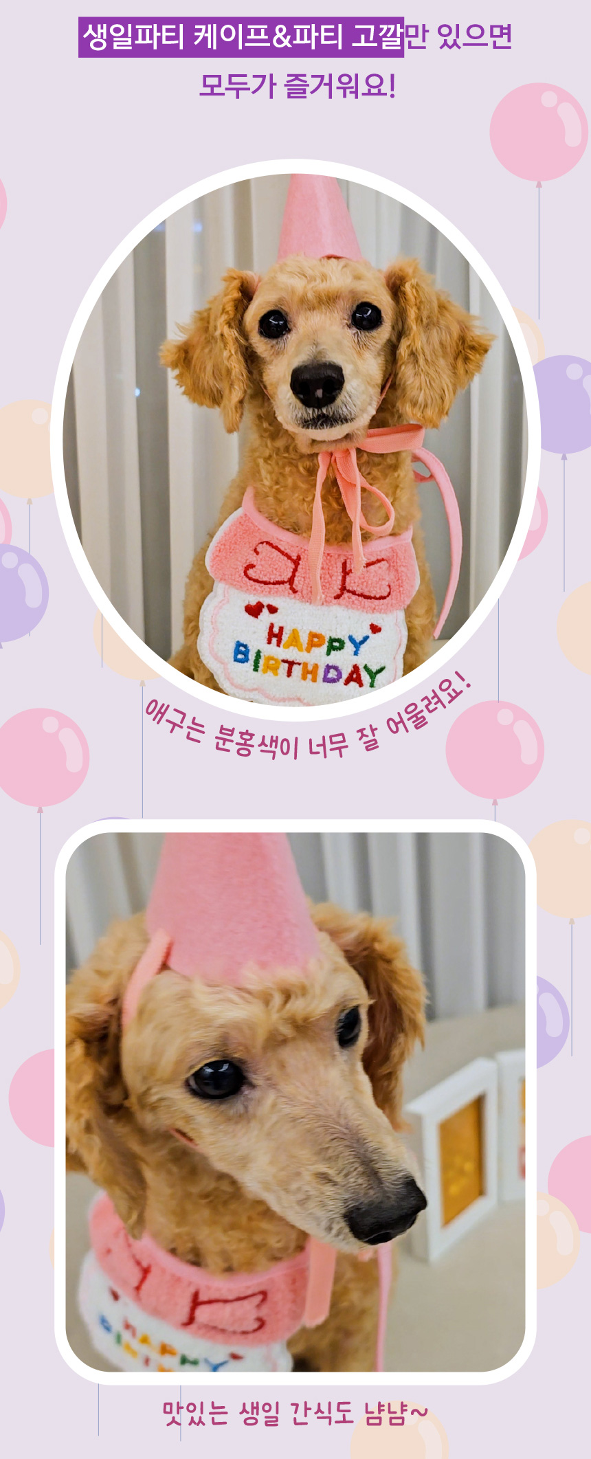 [무료배송] 애구애구 강아지 턱받이 스카프 생일케이프 파티꼬깔모자 세트 9번째