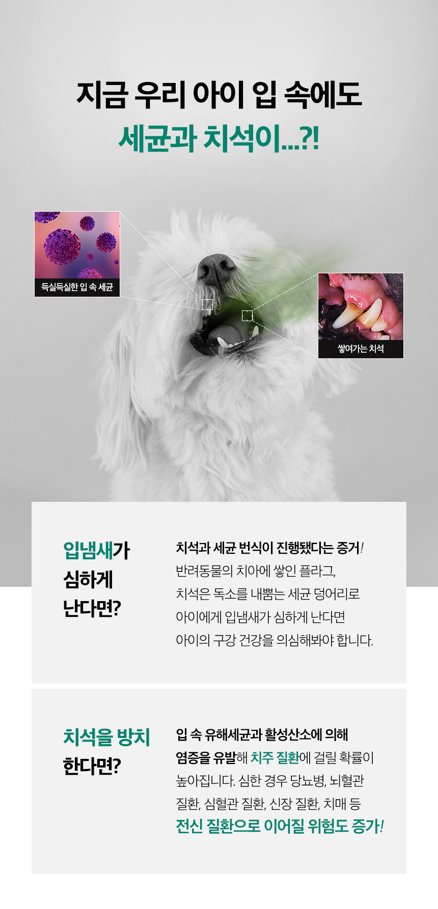 [무료배송] 옵티펫 덴탈애도그 가수분해 저알러지 덴탈 껌 간식 150g 6번째