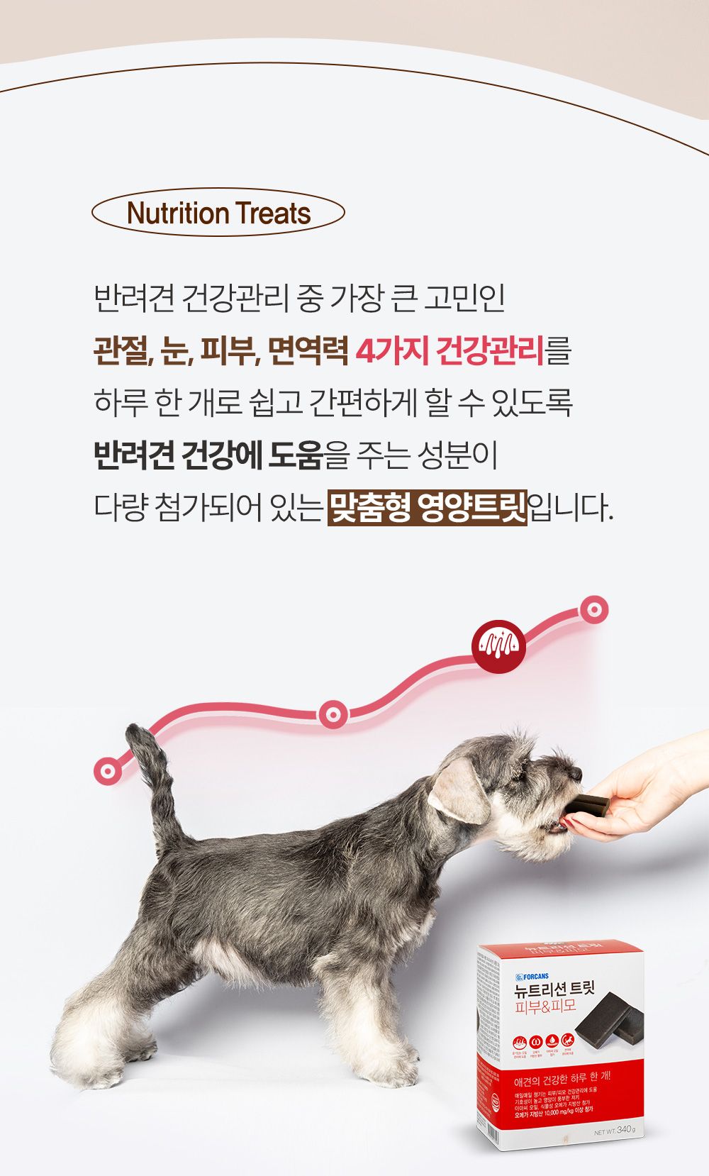 포켄스 독 NEW 뉴트리션 트릿 피부&피모 340g 2번째