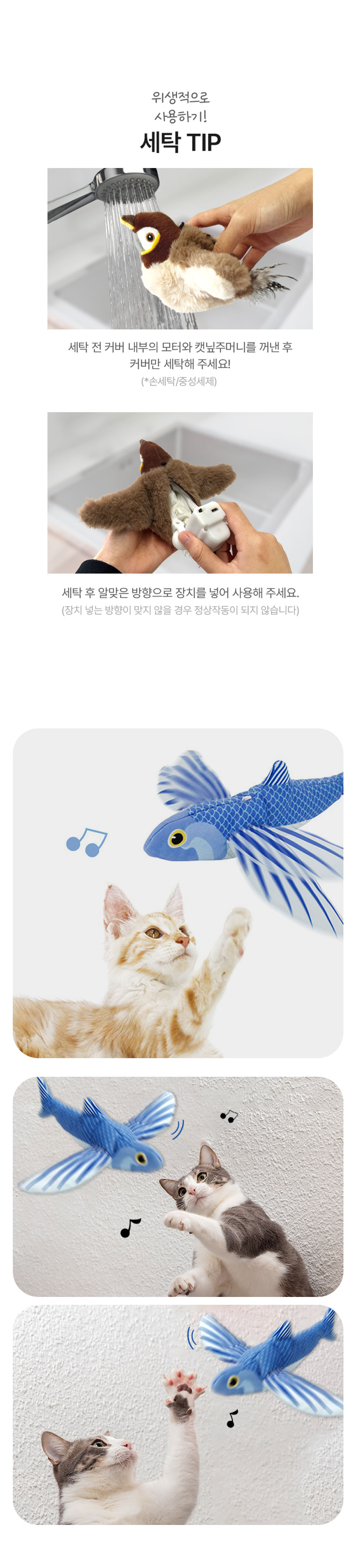 [무료배송] 멍냥이랑 플라잉피쉬 날치 4번째