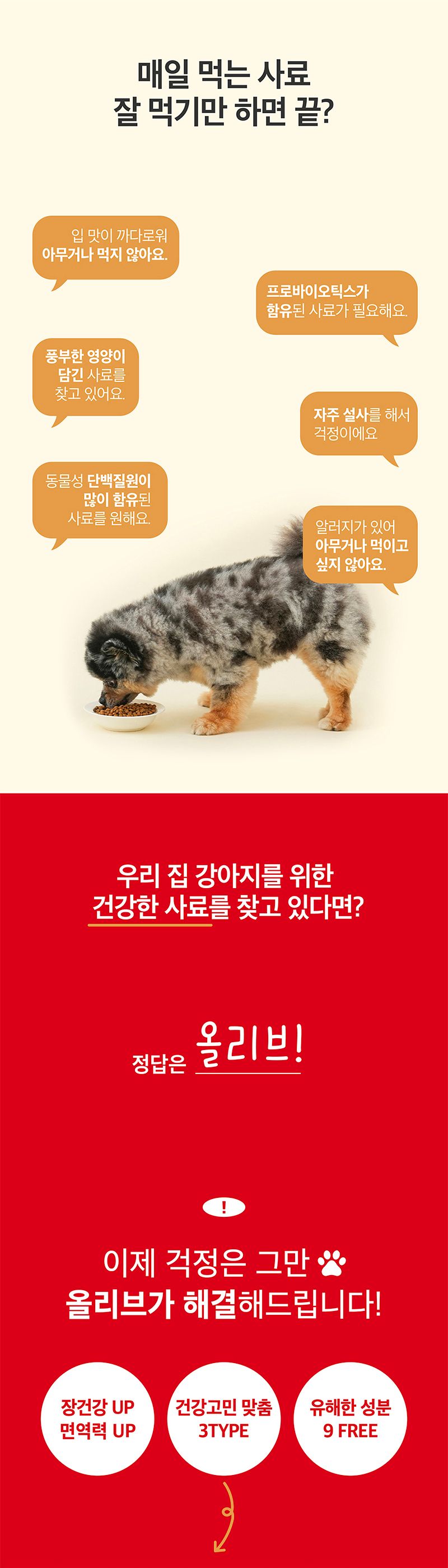 [사료샘플] 올리브 독 케어 30g 1번째