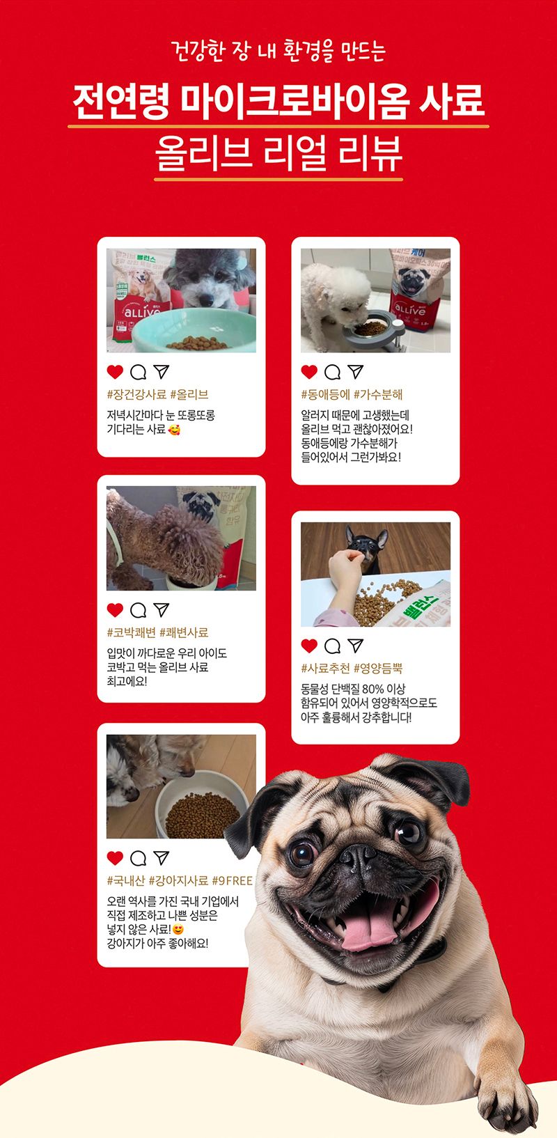 [사료샘플] 올리브 독 케어 30g 2번째
