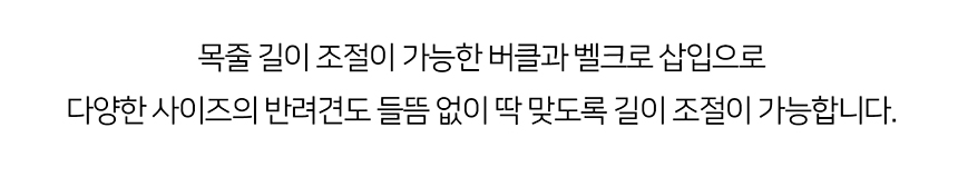 [무료배송] 니즈더펫 인터라켄 강아지 목줄 16번째