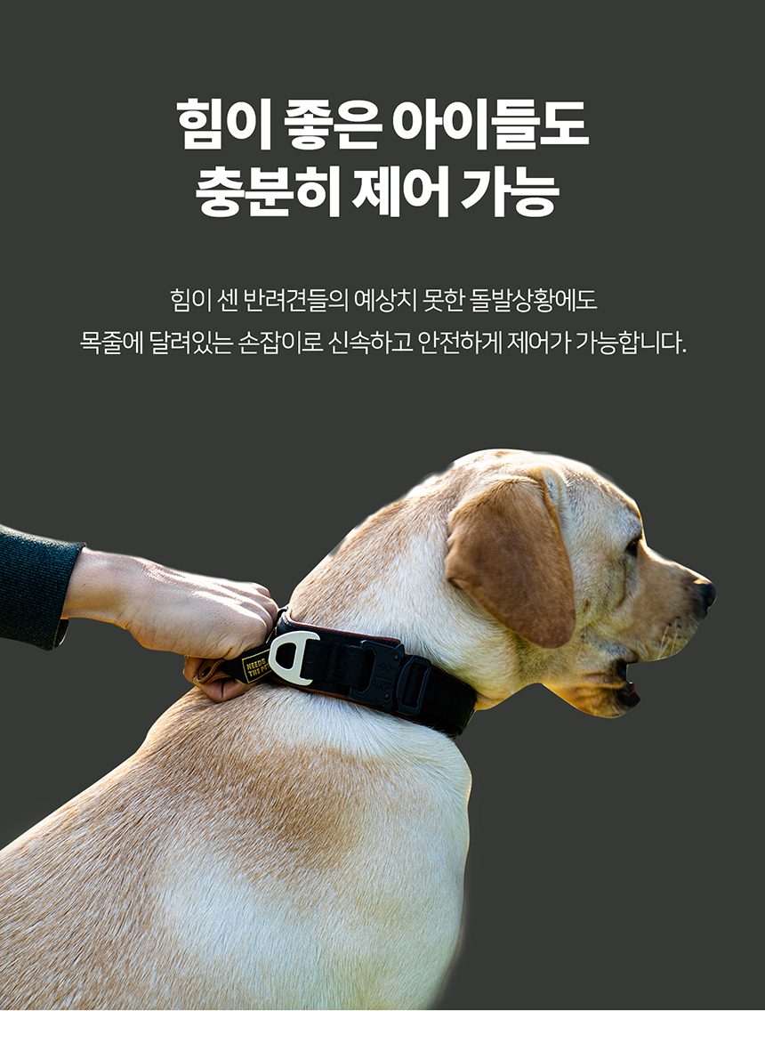 [무료배송] 니즈더펫 인터라켄 강아지 목줄 14번째