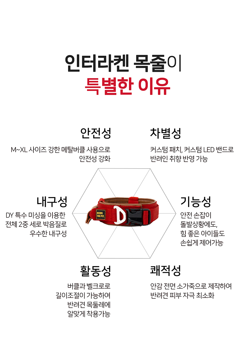 [무료배송] 니즈더펫 인터라켄 강아지 목줄 2번째