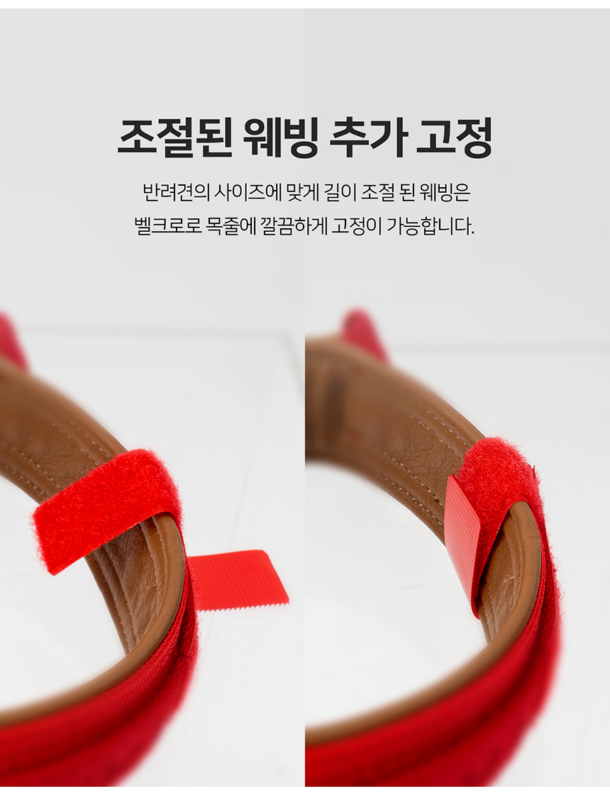 [무료배송] 니즈더펫 인터라켄 강아지 목줄 18번째