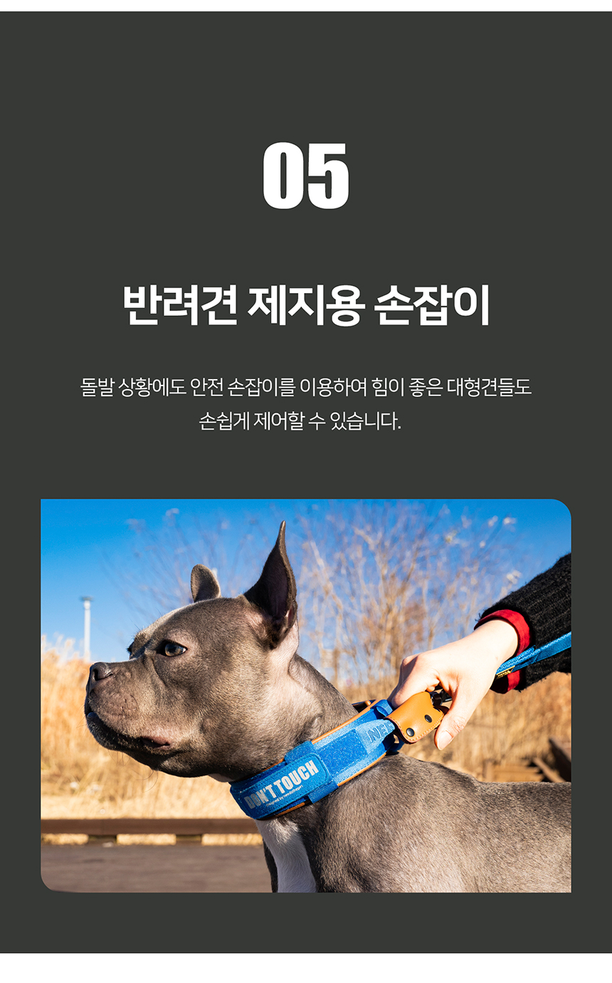 [무료배송] 니즈더펫 인터라켄 강아지 목줄 20번째
