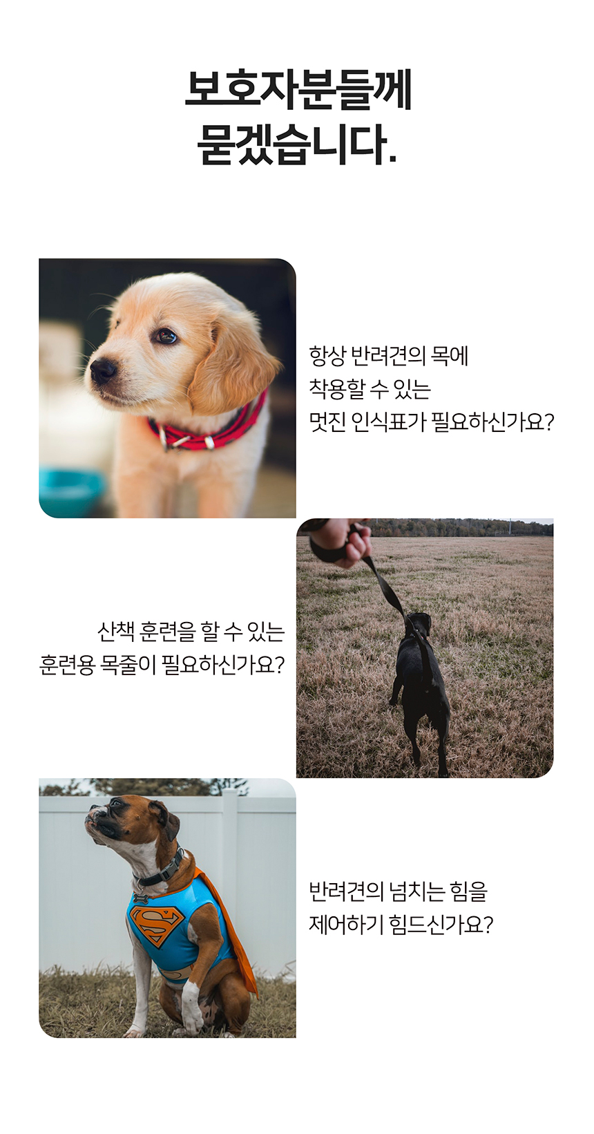 [무료배송] 니즈더펫 인터라켄 강아지 목줄 4번째