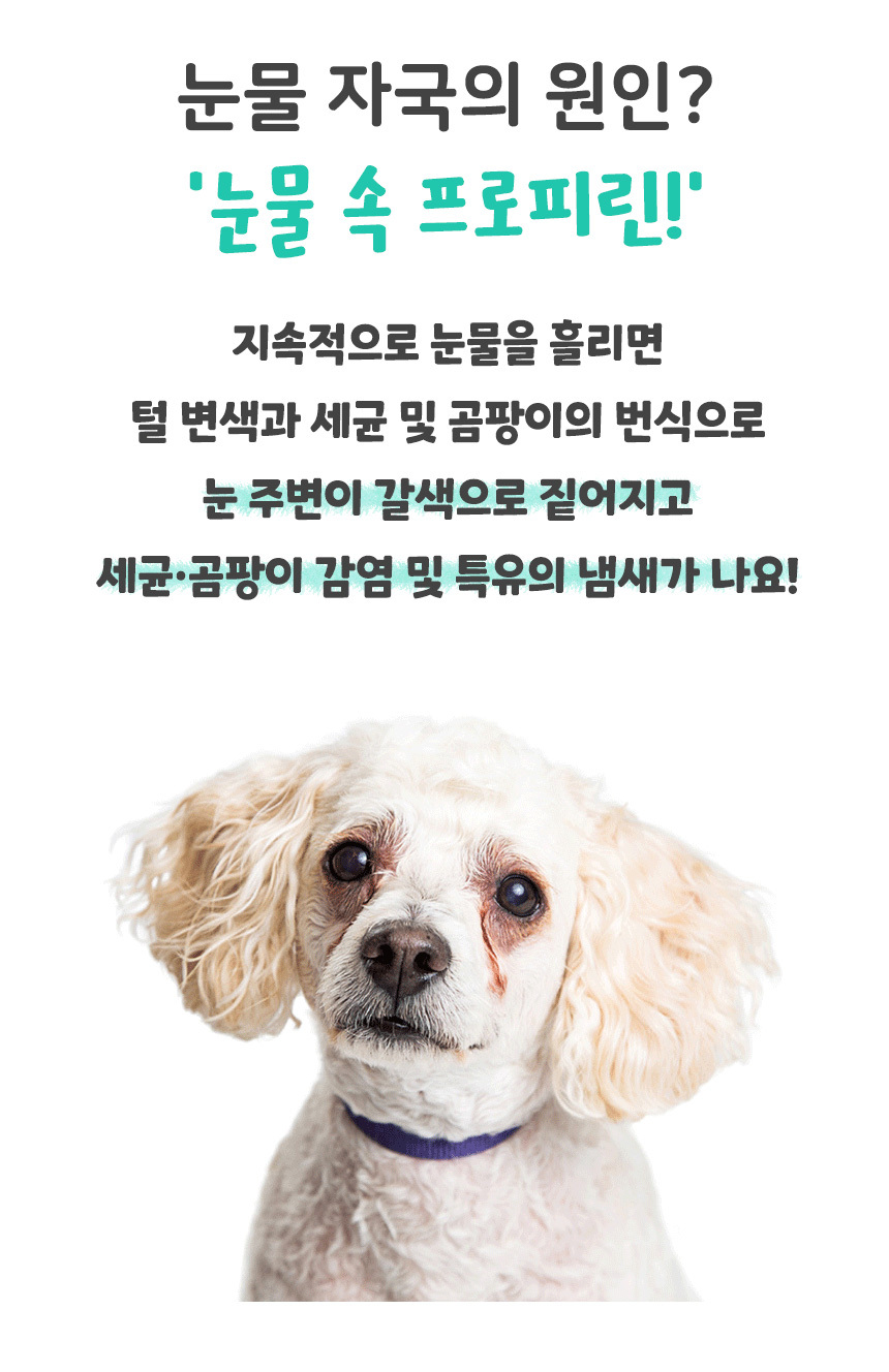 [무료배송] 댕이수랏간 침향 눈물뚝 영양제 100g 9번째