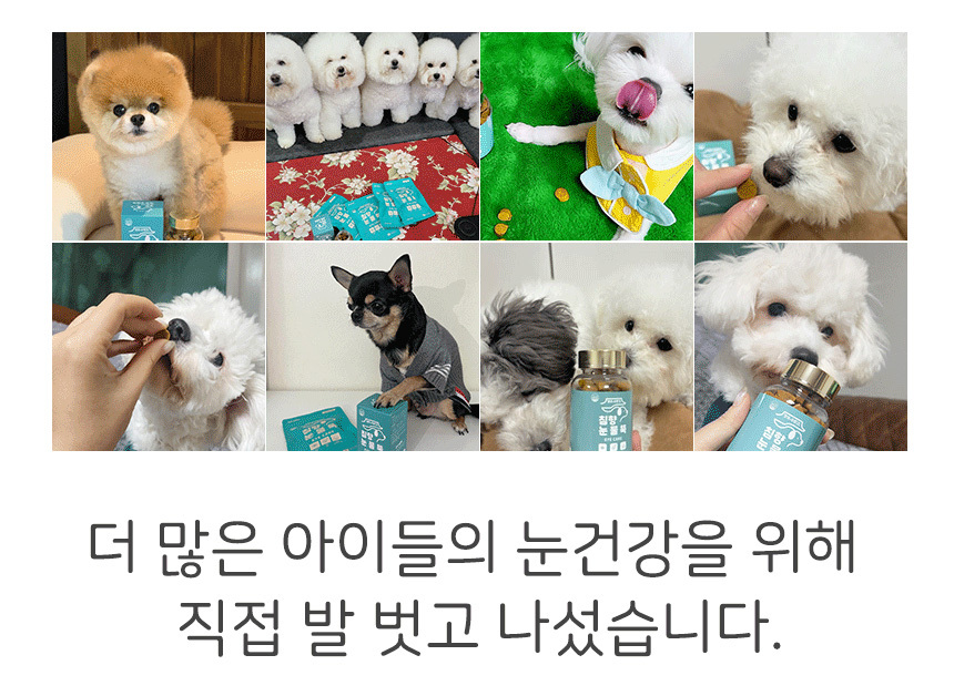 [무료배송] 댕이수랏간 침향 눈물뚝 영양제 100g 4번째