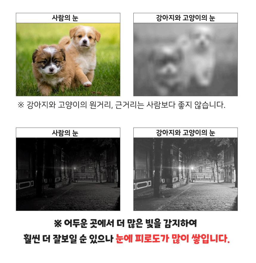 [무료배송] 댕이수랏간 침향 눈물뚝 영양제 100g 8번째