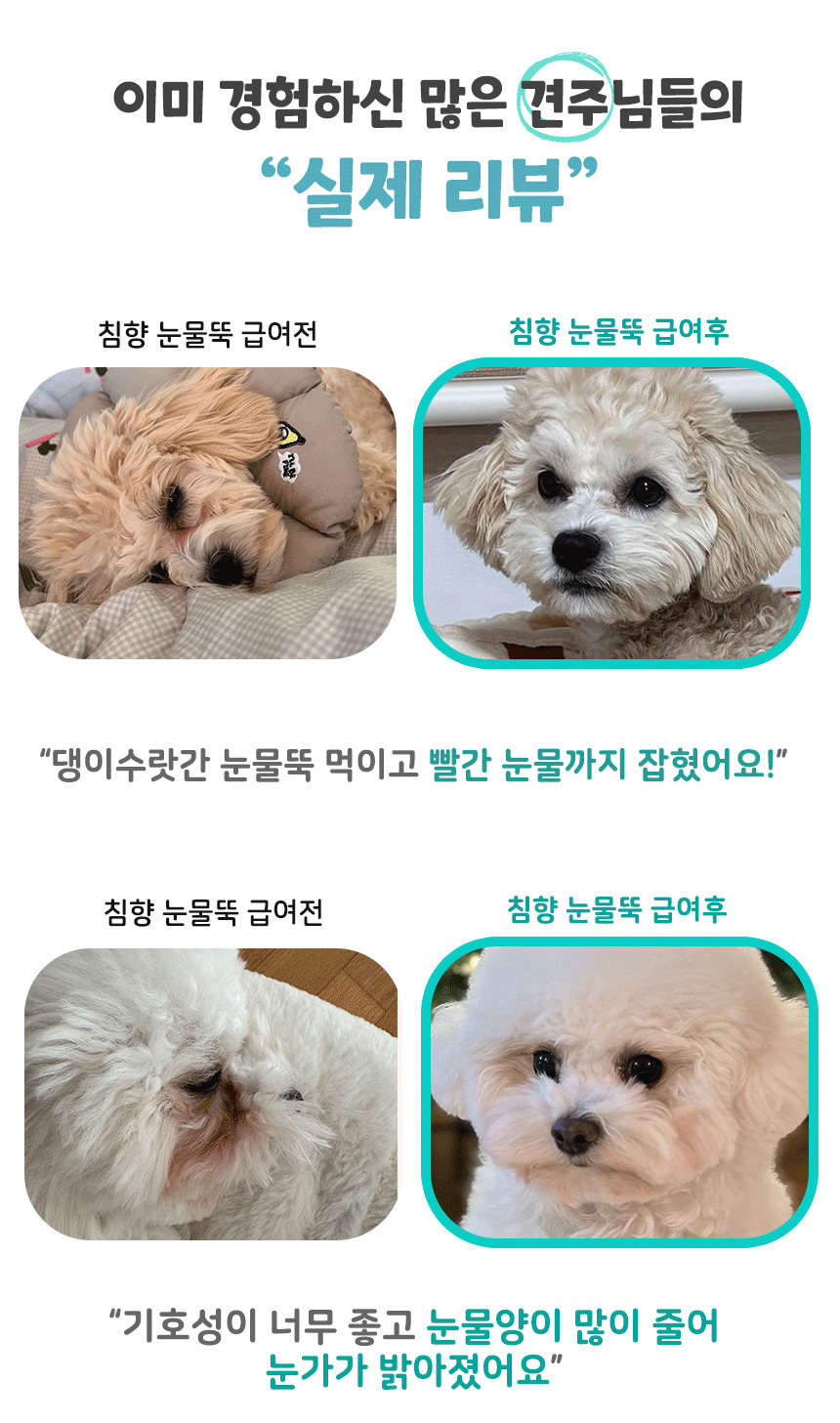 [무료배송] 댕이수랏간 침향 눈물뚝 영양제 100g 3번째