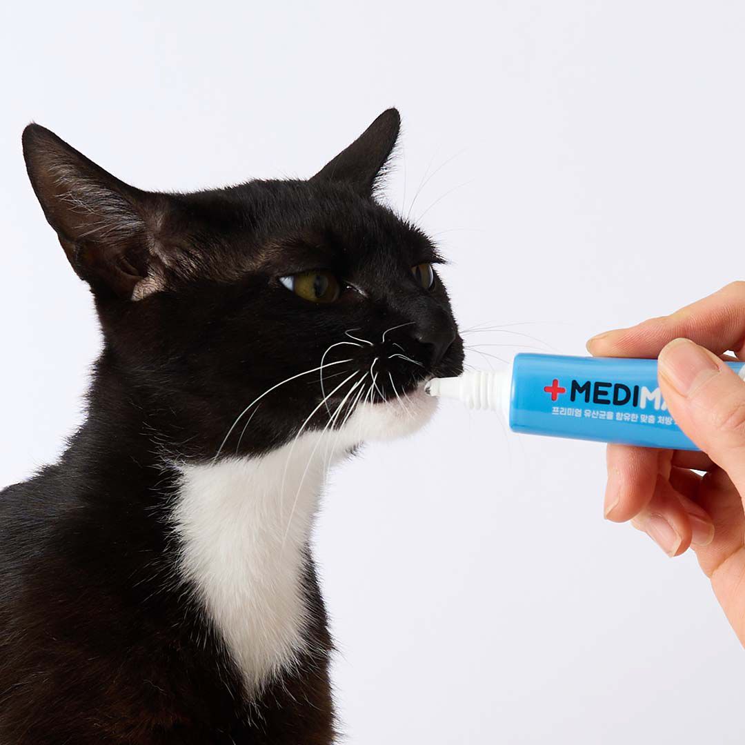 [NEW신상]메디멀 락토플러스 유산균 치약 30ml for cat 3번