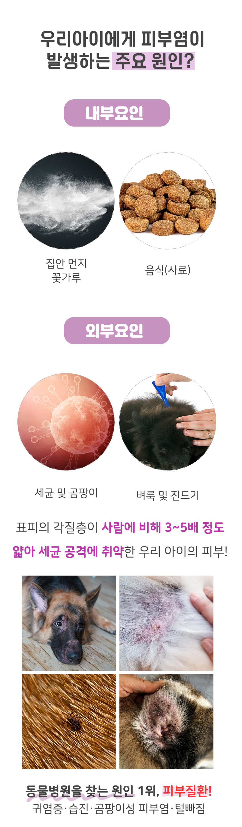 [무료배송] 댕이수랏간 침향 피부&피모 영양제 100g 6번째