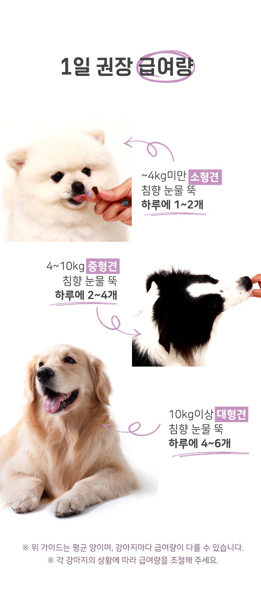[무료배송] 댕이수랏간 침향 피부&피모 영양제 100g 20번째