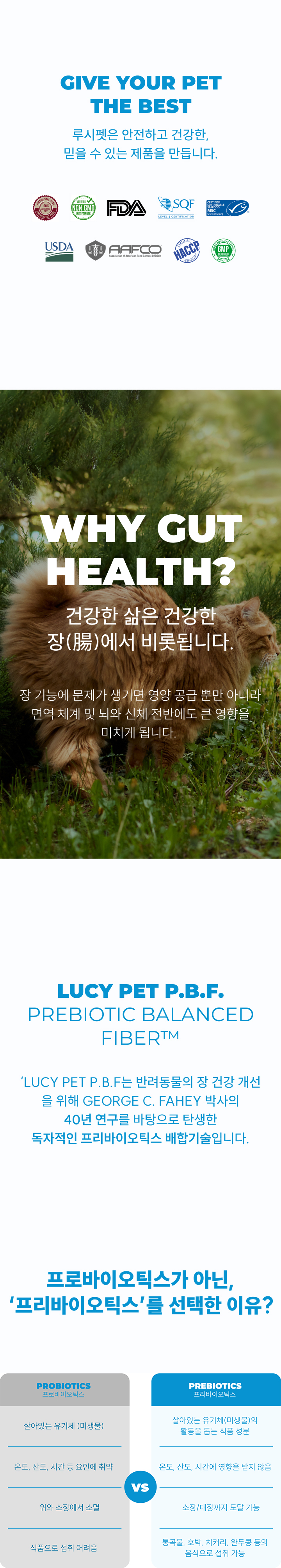 [NEW신상][무료배송] 루시펫 캣 치킨 현미 호박 LID 4kg 8번째