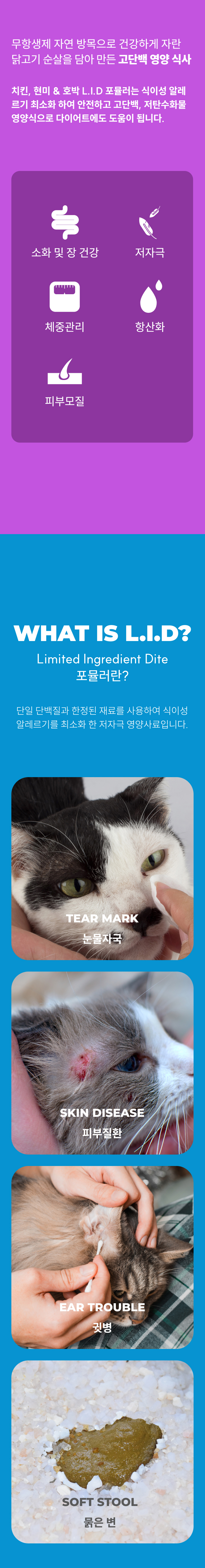 [NEW신상][무료배송] 루시펫 캣 치킨 현미 호박 LID 4kg 3번째