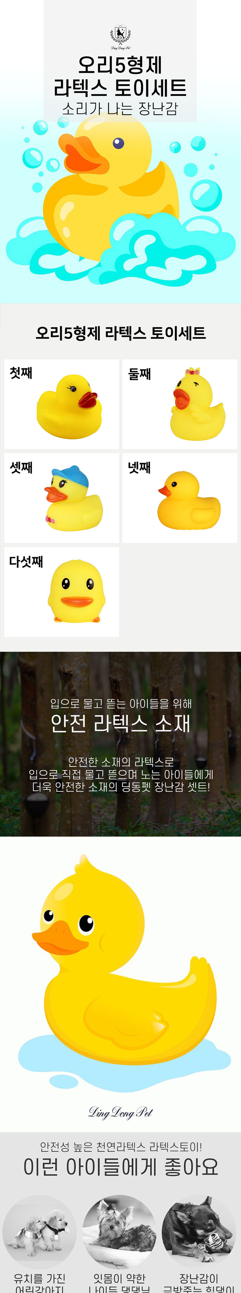 [무료배송] 딩동펫 애견 라텍스장난감 오리 5형제 토이세트 1번째