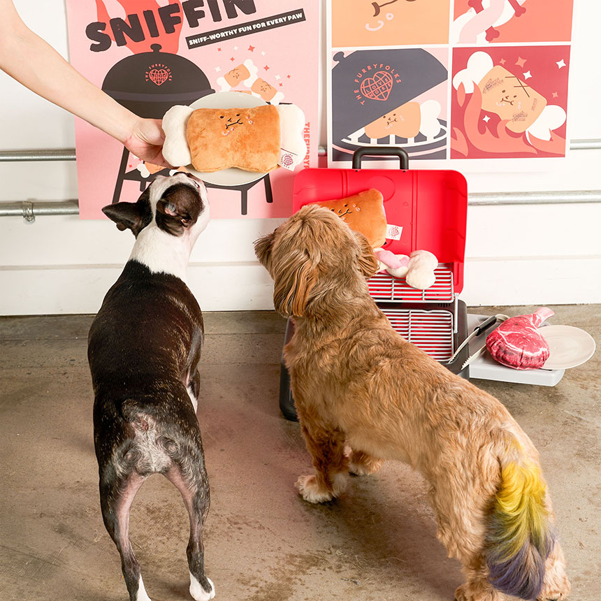 [NEW신상][무료배송] 더퍼리폭스 갈비 노즈워크 토이 5번째