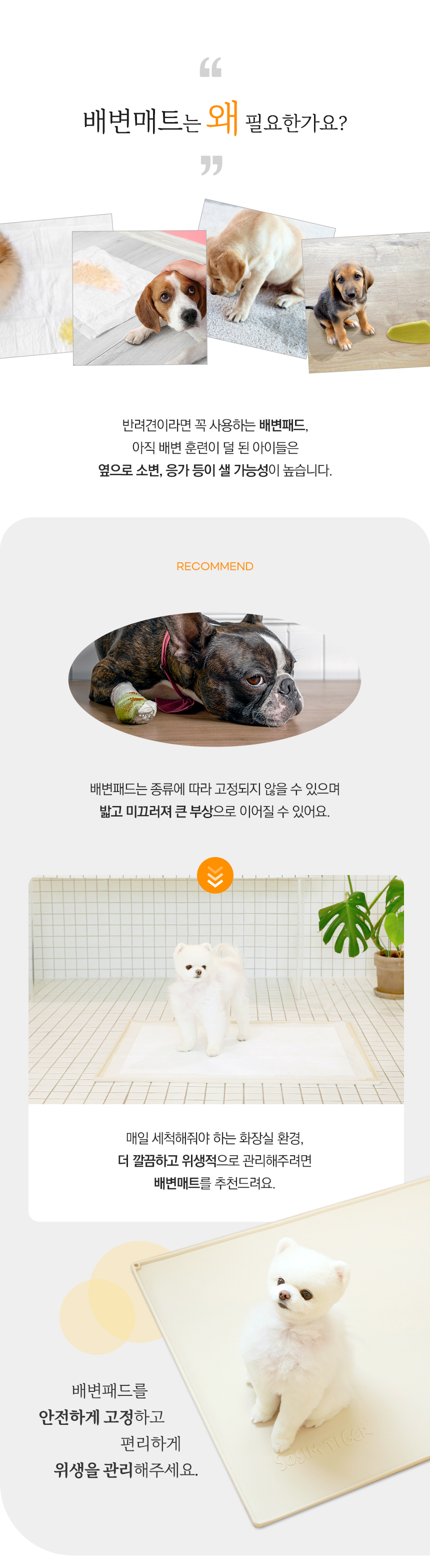 [무료배송] 소심한호랑이 독 논슬립 실리콘 배변매트 중형/특대형 2번째