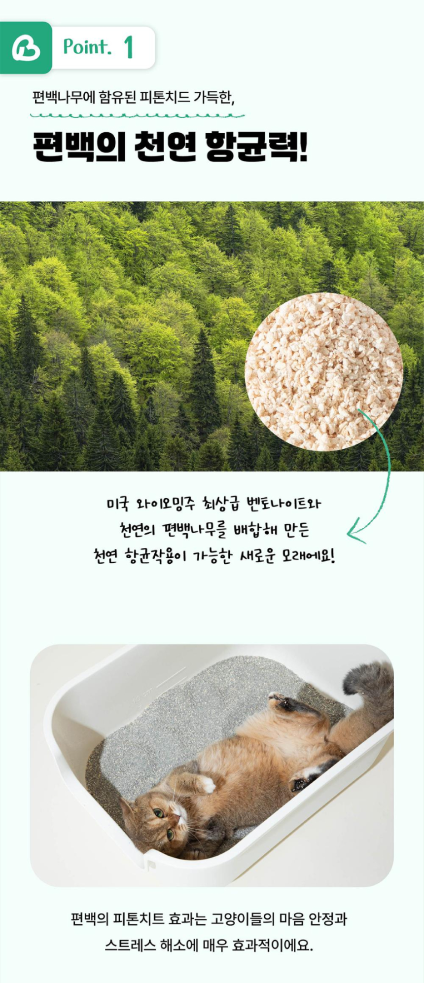 [NEW신상][무료배송] 보니코 캣 그린에디션(벤토+편백+카사바) 9kg 6번째